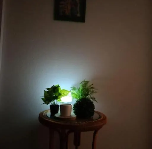 Apartmento com 1 dormitório